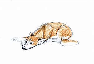 Image result for Dog Sleeping Animated