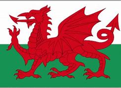 Image result for Welsh Dragon Flag