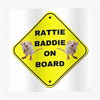 Image result for Baddie Rat