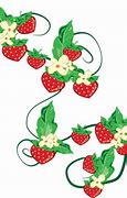 Image result for Berry Vine SVG