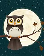 Image result for Night Owl Graphics