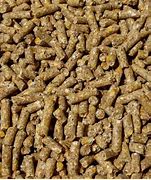 Image result for Pig Feed Oats