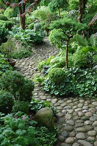 Image result for Rock Garden Path