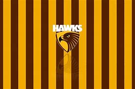 Image result for Hawthorn Hawks Logo