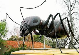 Image result for Big Ant Image