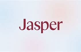 Image result for Jasper Seuren