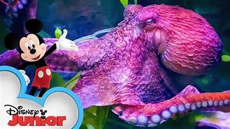 Image result for Octol