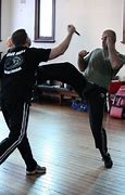 Image result for Krav Maga Front Kick