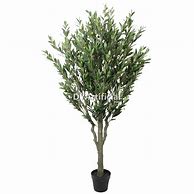 Image result for Artificial Olive Tree