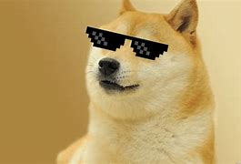 Image result for Renagade Doge