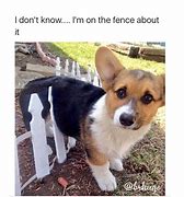 Image result for Aww MEME Funny