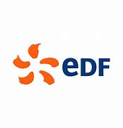 Image result for EDF India Logo