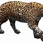 Image result for Jaguar XJ PNG