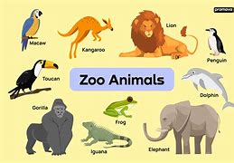 Image result for Animals That Live in the Zoo