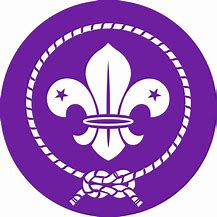 Image result for Boy Scout Symbol