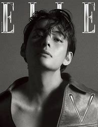 Image result for BTS V Model