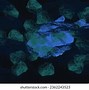 Image result for Mariana Trench From Space