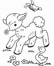 Image result for Baby Lamb Doodle