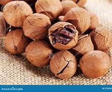 Image result for Wild Nuts