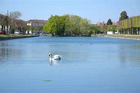 Image result for Swan Lake Nature Centre