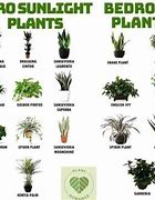 Image result for Mga Side Cutains