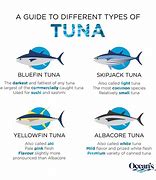 Image result for Tuna Breeds