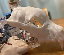 Image result for Bvear Skull Mask