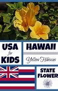 Image result for Hawaii State Flower