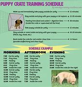 Image result for Puppy Schedule 18 Weeks