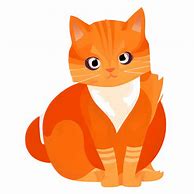 Image result for Orange Cat Graphic