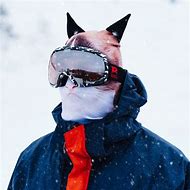 Image result for Cat with Ski Mask