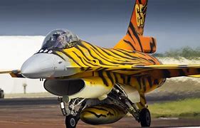 Image result for General Dynamics F-16 Fighting Falcon