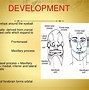 Image result for Orbit Anatomy PPT