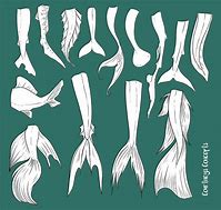 Image result for Fin Head Art