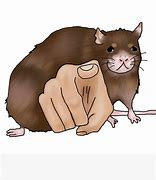 Image result for Rat Pointing Meme