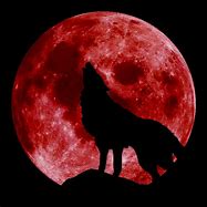 Image result for Greek Wolf God