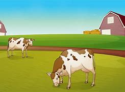 Image result for Cows On the Farm