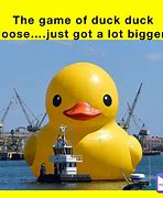 Image result for Duck Duck Goose Meme