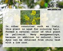 Image result for senna leaf benefits