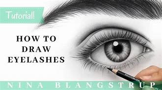 Image result for Eyelash Drawing Side View