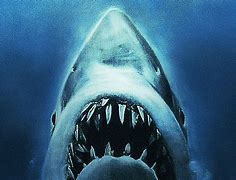 Image result for Sharck Jaws