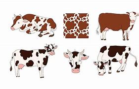 Image result for Cow Spots Clip Art