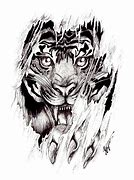 Image result for Tiger Tattoo Drawings and Sketches