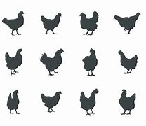 Image result for Chicken Silhouette