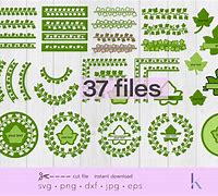 Image result for Ivy Leaf SVG