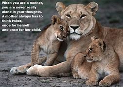 Image result for Lion Protecting Cub