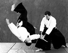 Image result for Aikido Circular Force Image