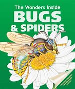 Image result for Bugs and Spiders