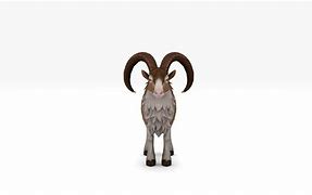 Image result for Cartooon 3D Fluffy Goat