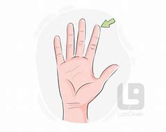 Image result for 1st Finger